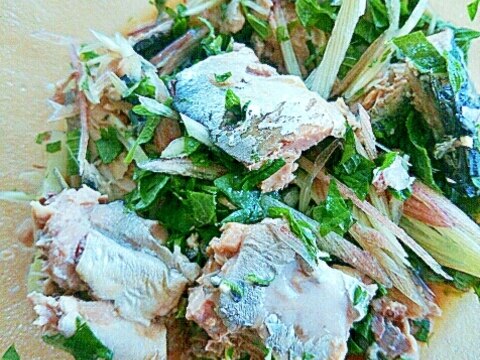 さば水煮缶で、みょうが&大葉入りサラダ